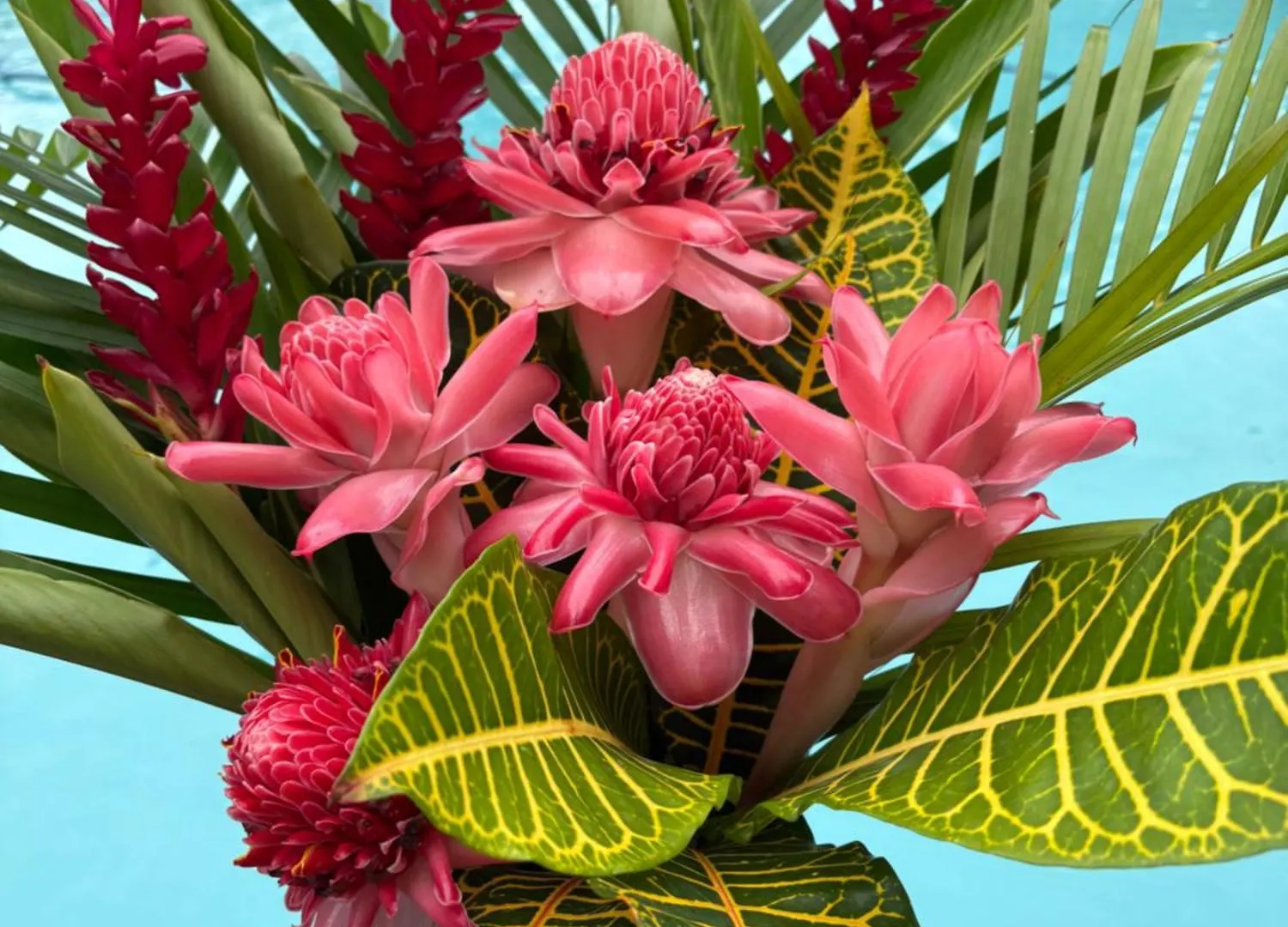 Le Paradis De La Guadeloupe 黑角 别墅