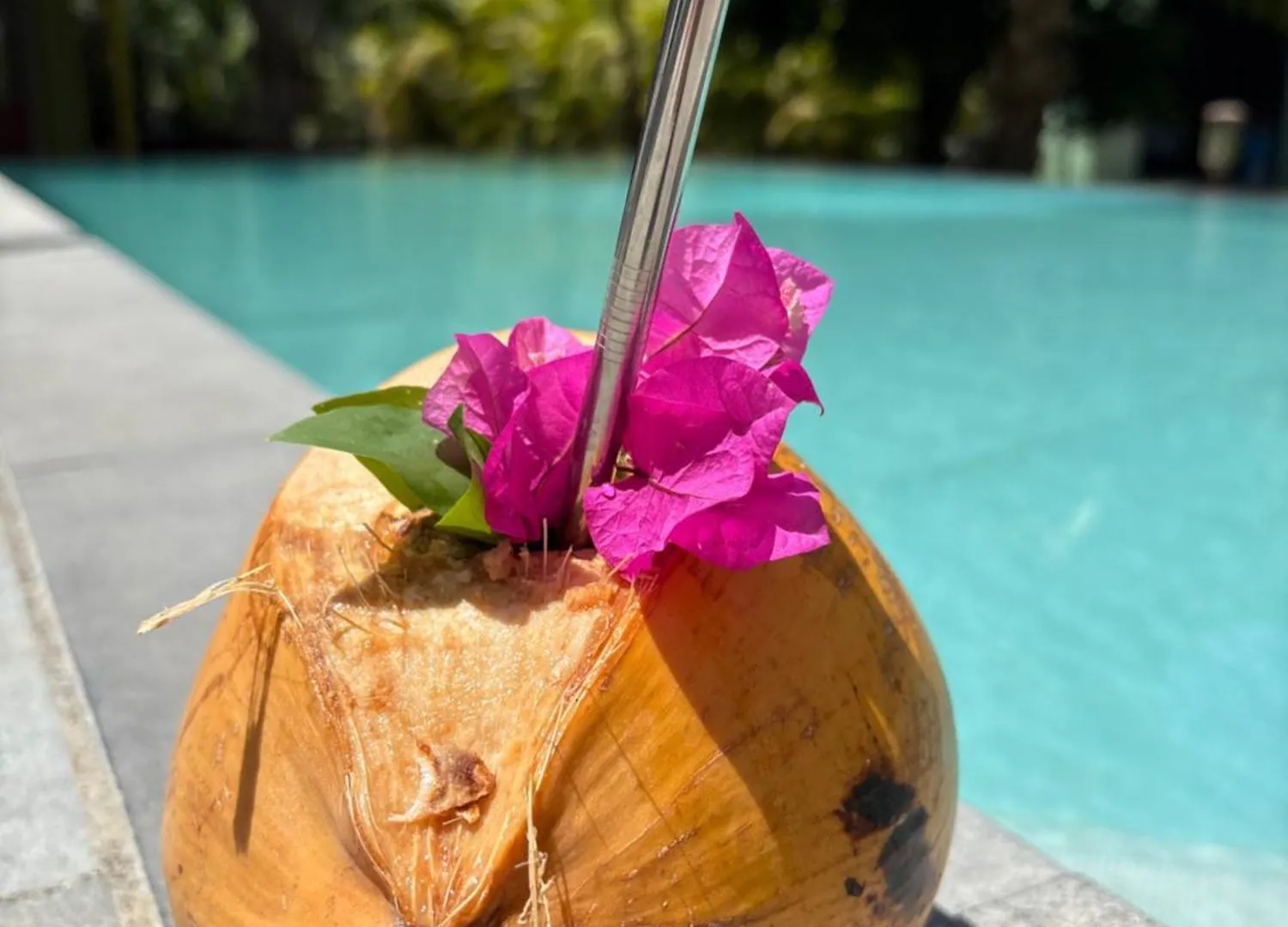 Le Paradis De La Guadeloupe 黑角 瓜德罗普