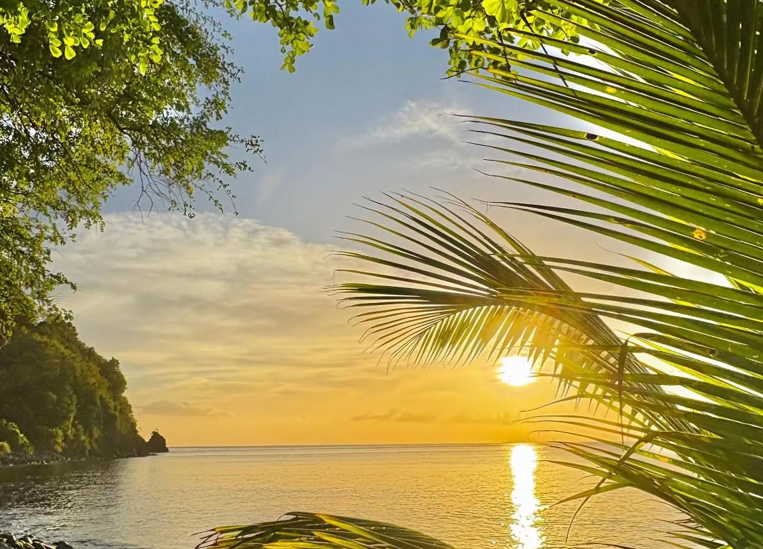 Le Paradis De La Guadeloupe 黑角 别墅
