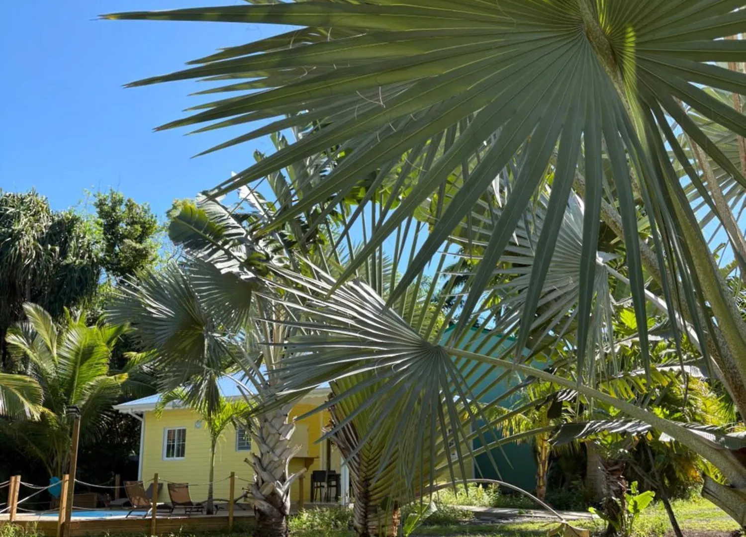 Le Paradis De La Guadeloupe 黑角