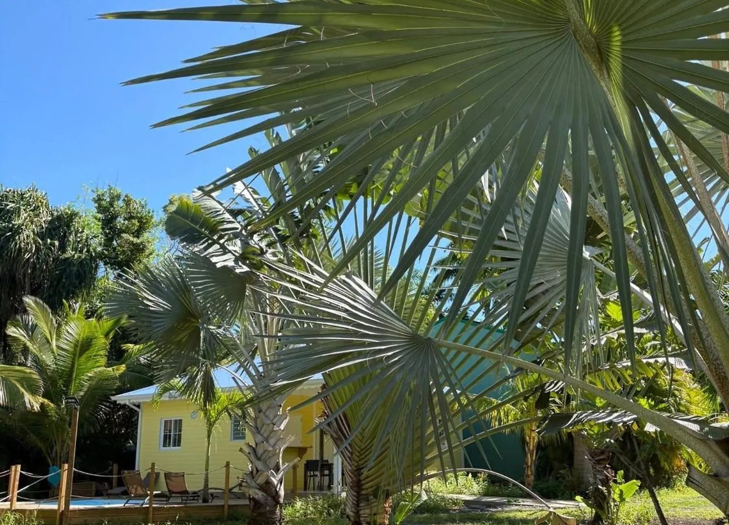 Le Paradis De La Guadeloupe 黑角