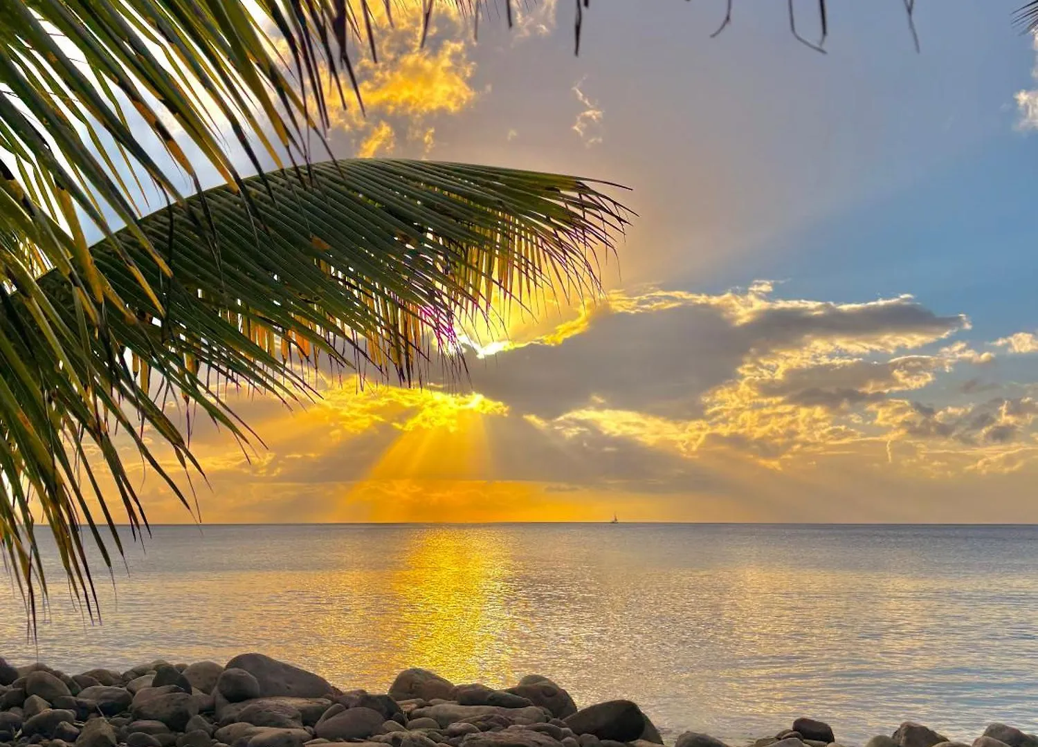 Le Paradis De La Guadeloupe 黑角