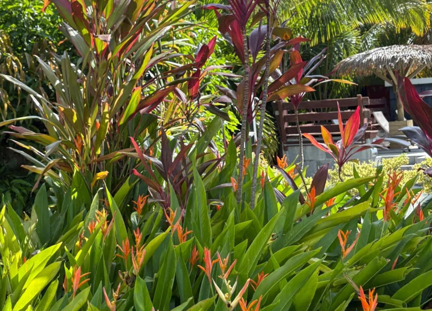 Le Paradis De La Guadeloupe 黑角 别墅