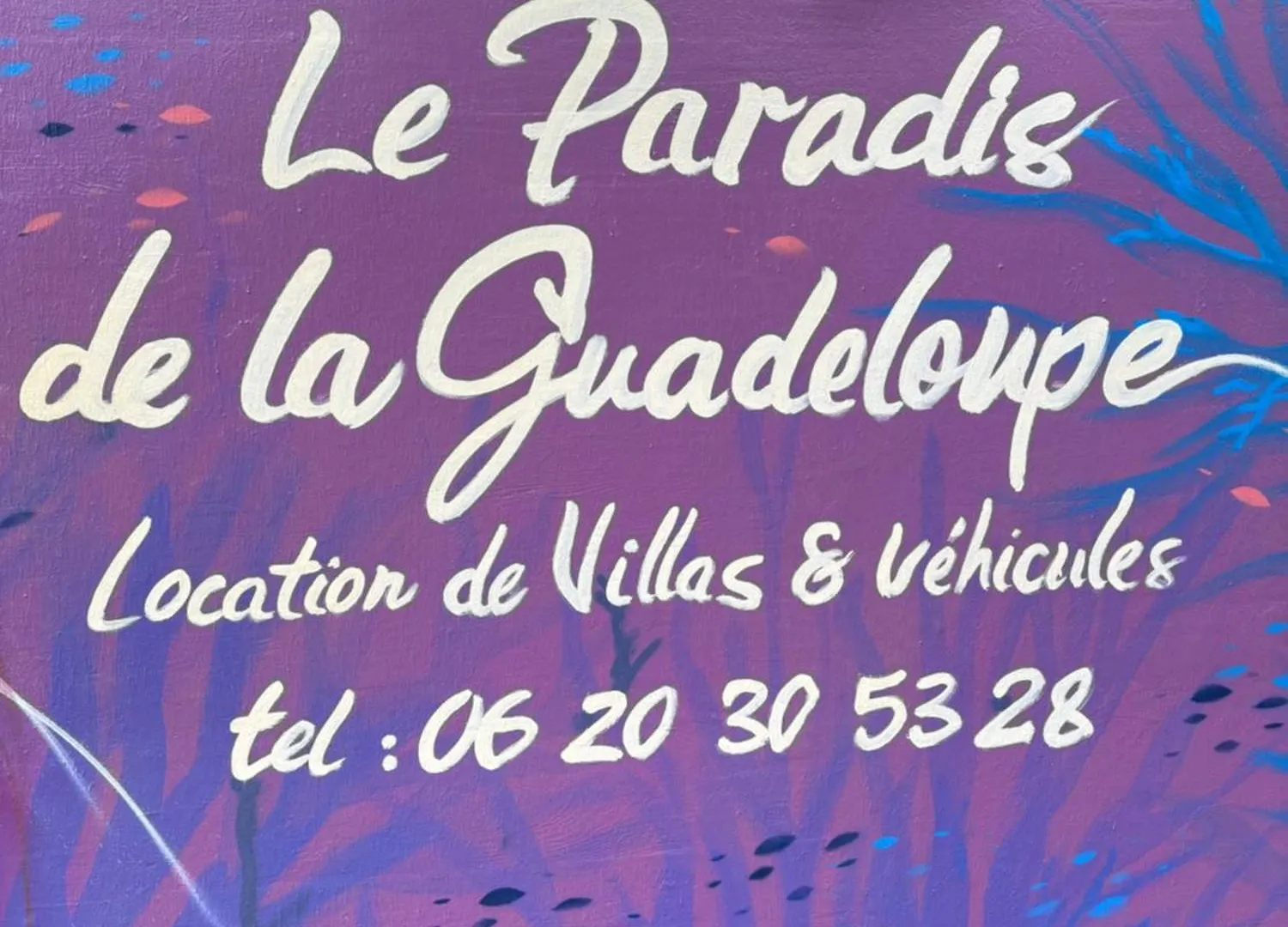 Le Paradis De La Guadeloupe 黑角