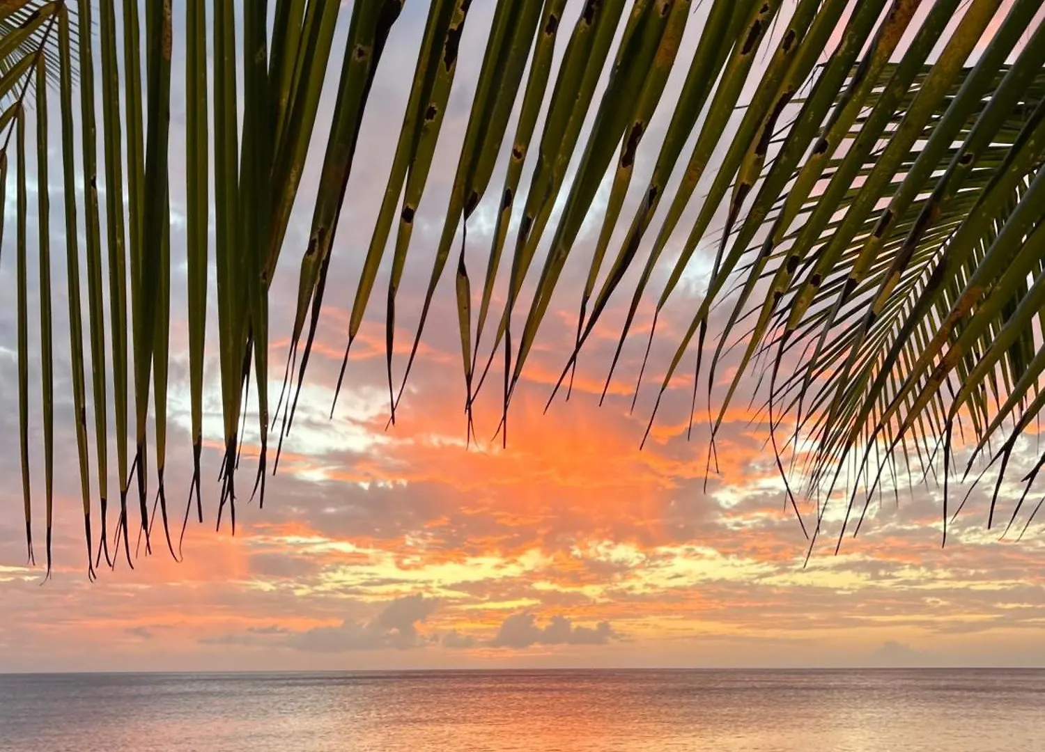 Le Paradis De La Guadeloupe 黑角