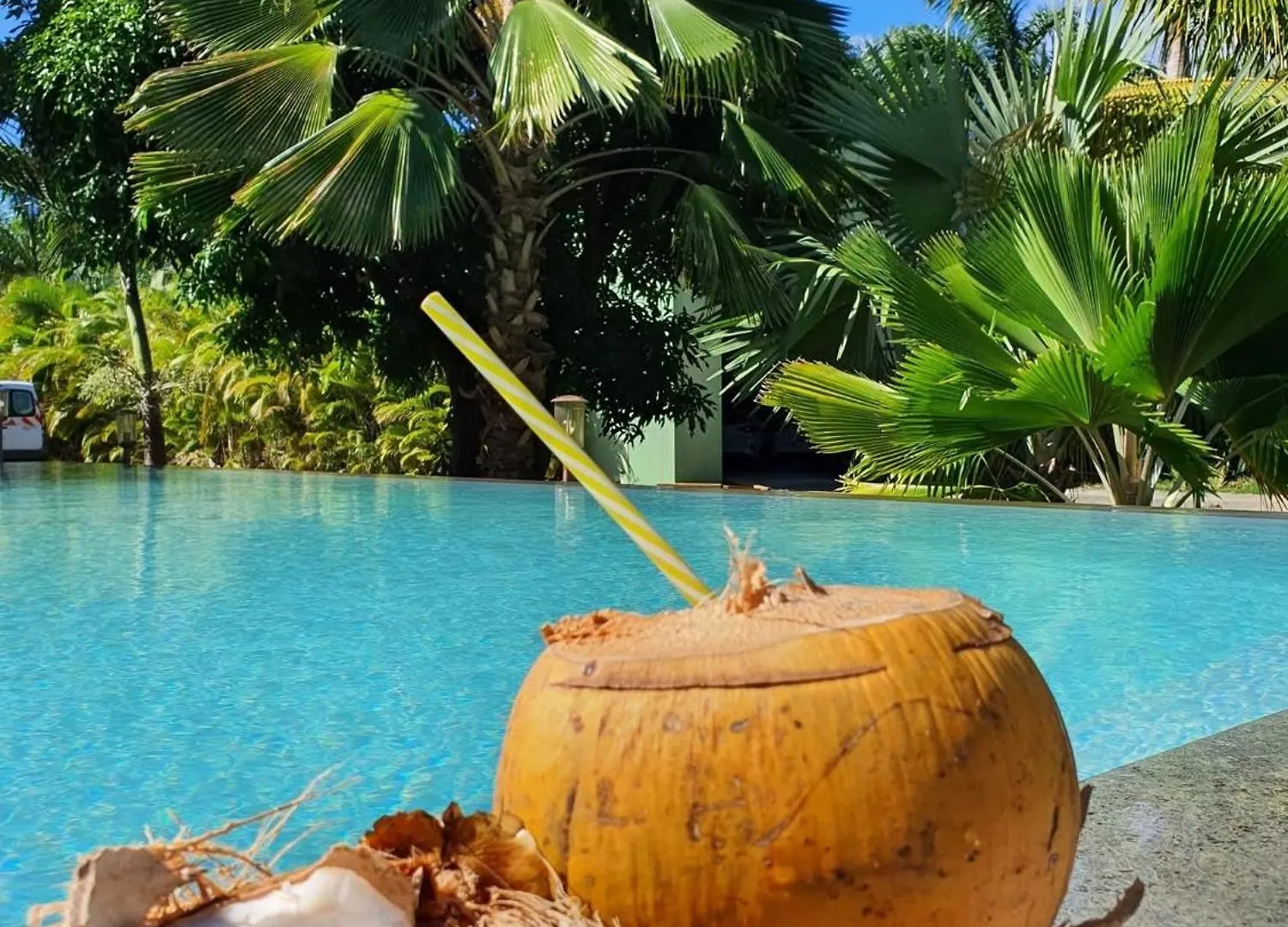 Le Paradis De La Guadeloupe 黑角 0*,